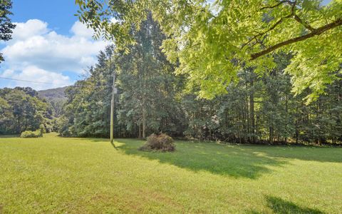 A home in Blue Ridge