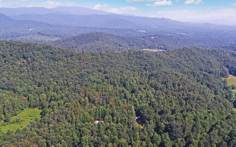 A home in Blue Ridge