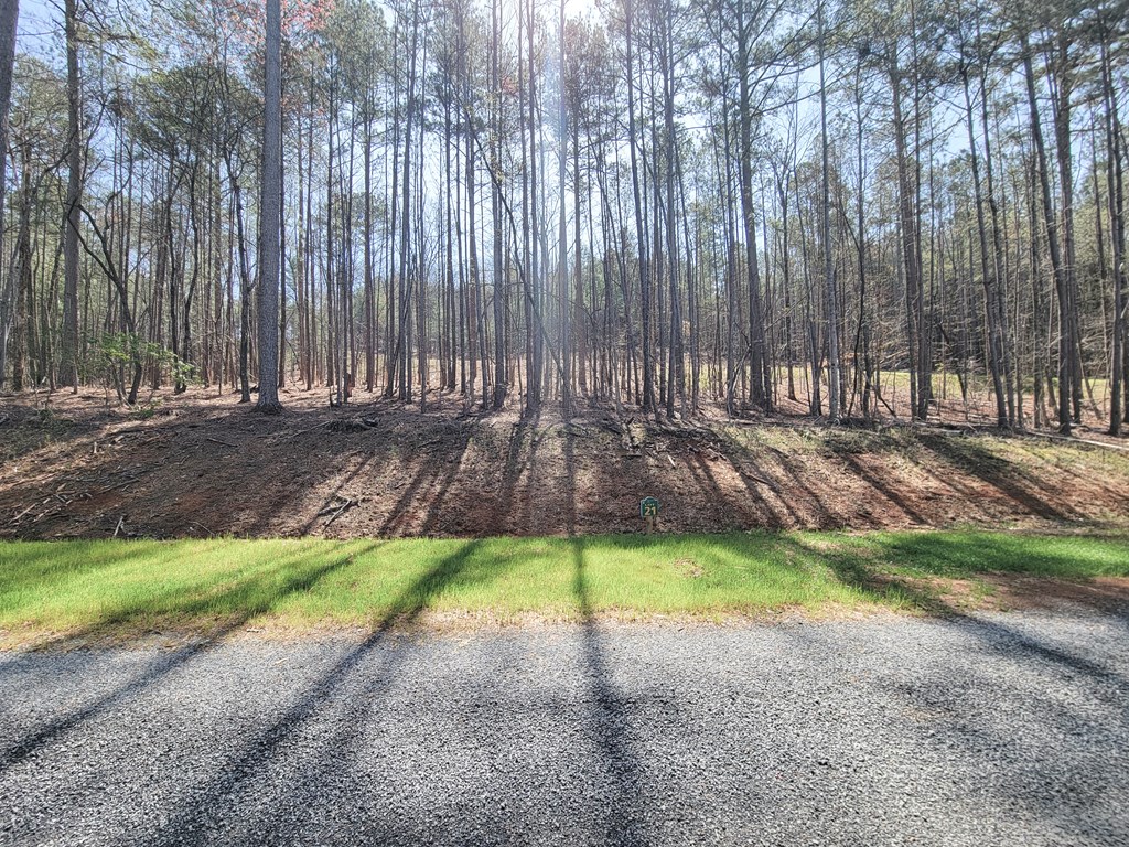 277 Mountaingate Way