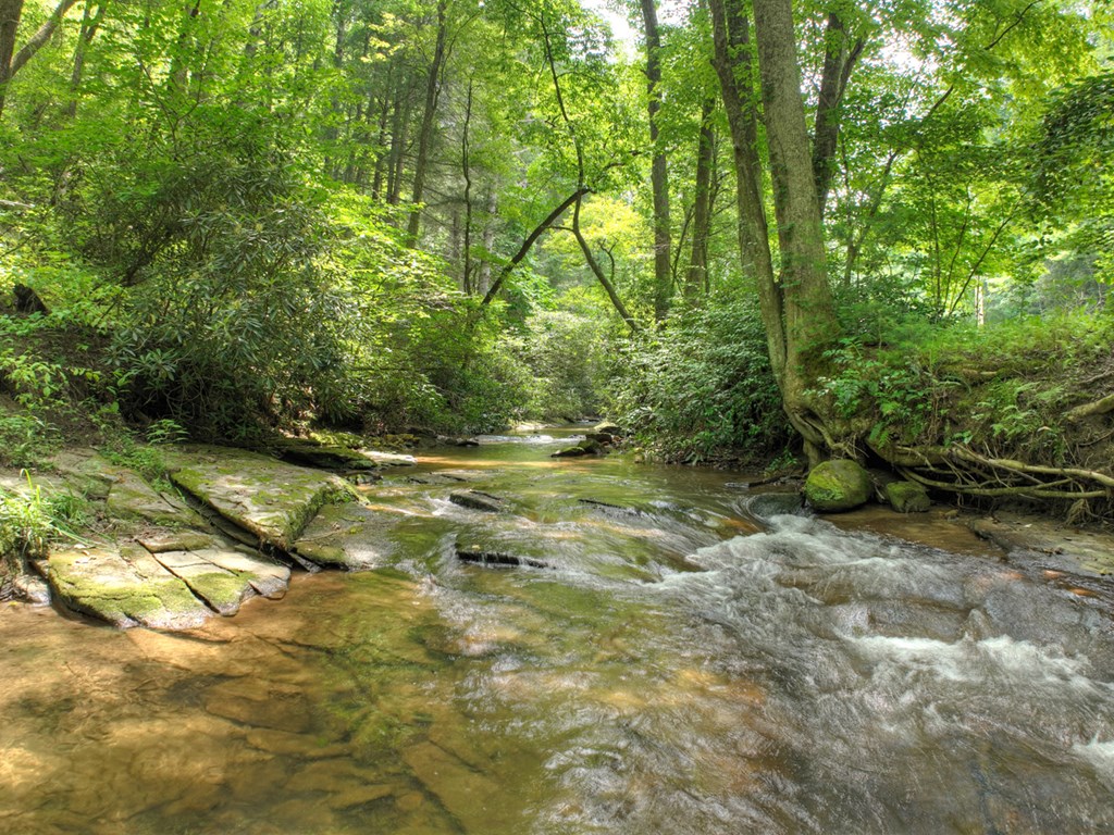 100 Stanley Creek Xing