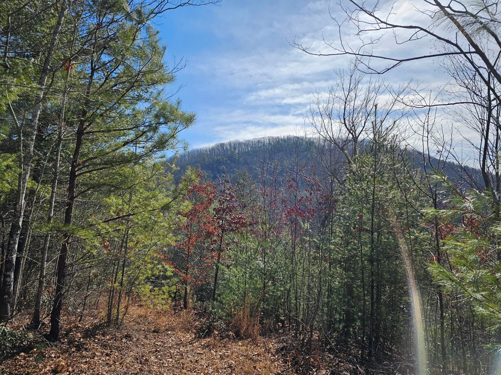 51 Kudzu Creek Trail