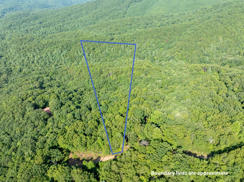Lot 9 Brushy Top Drive