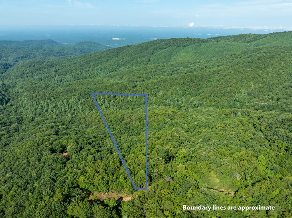 Lot 9 Brushy Top Drive