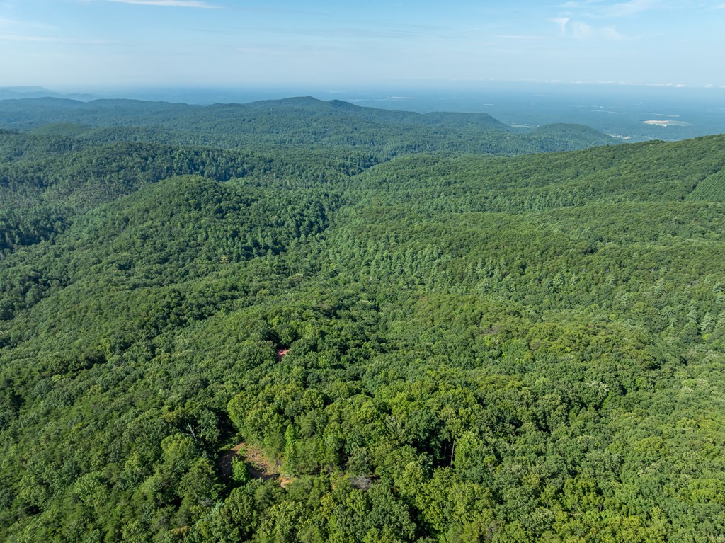 Lot 9 Brushy Top Drive