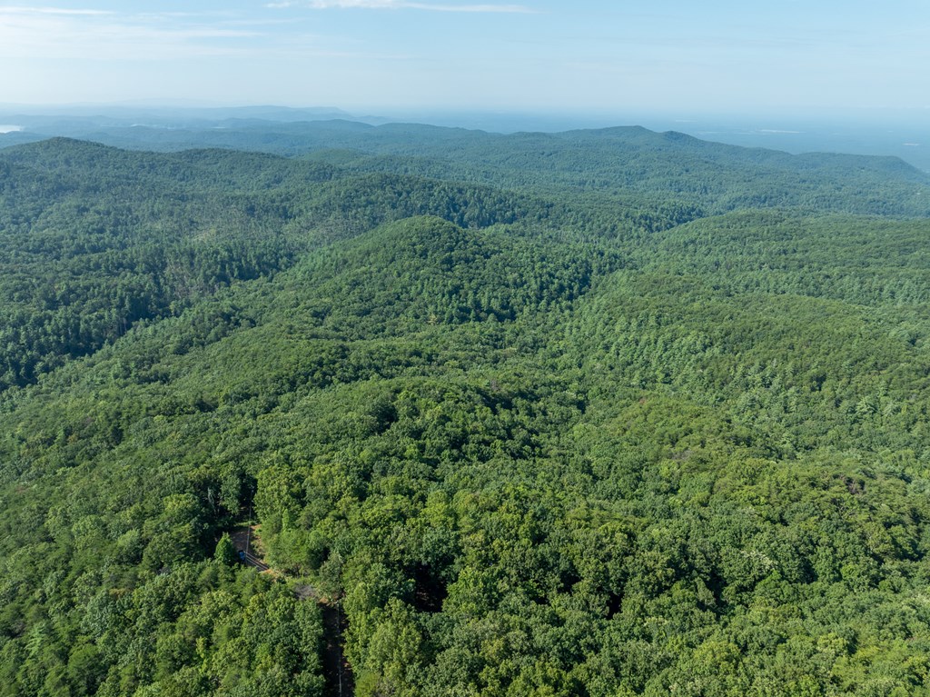 Lot 9 Brushy Top Drive