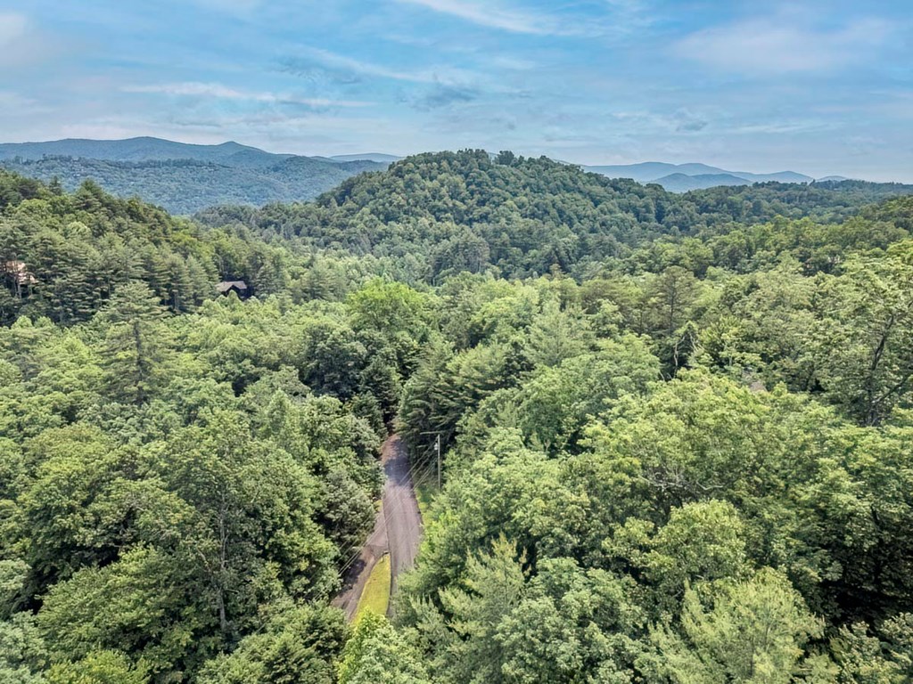 573 Hiawatha Trail
