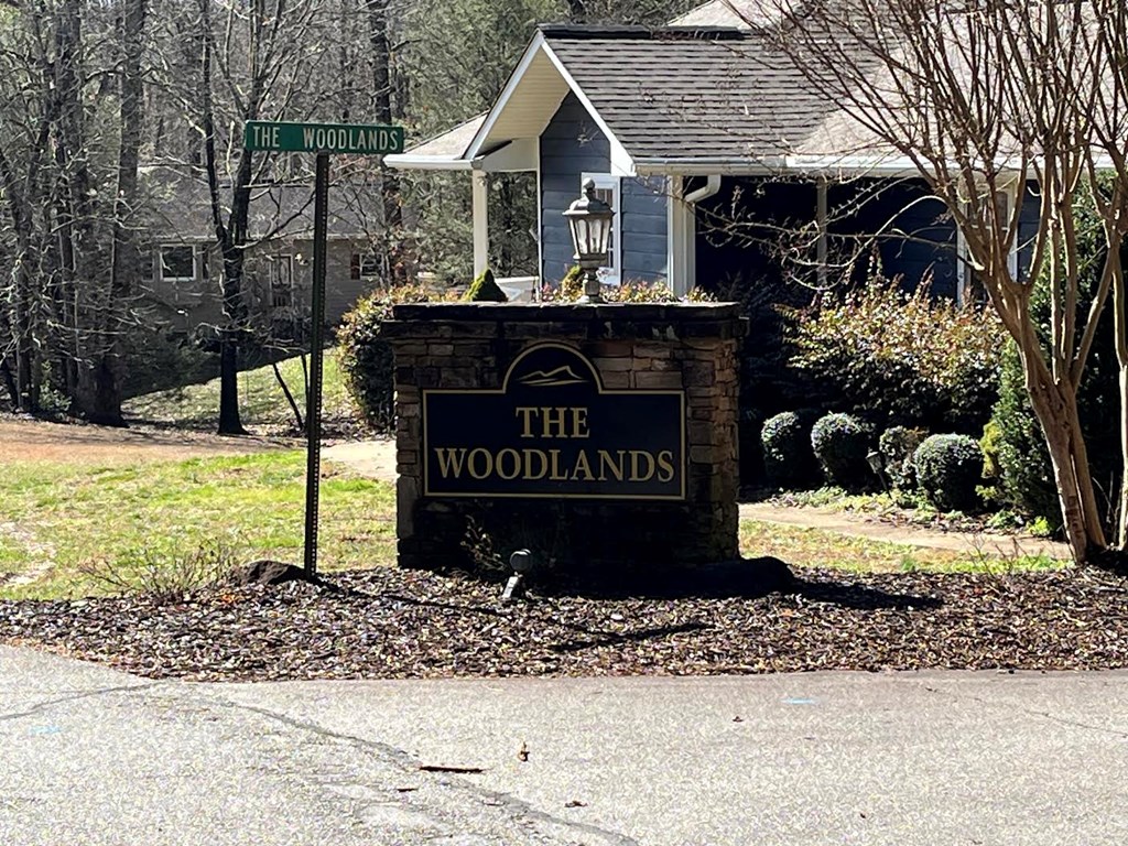 Lot 1 E Licklog Ridge