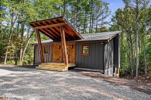 A home in Mineral Bluff