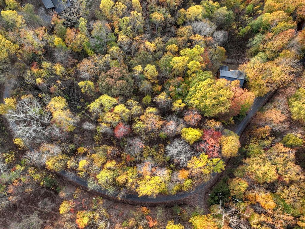 Lot 79 Moosilaukee Drive