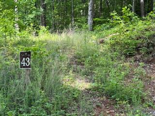 43 Tusquittee Crossing