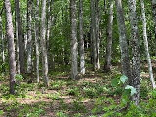 43 Tusquittee Crossing