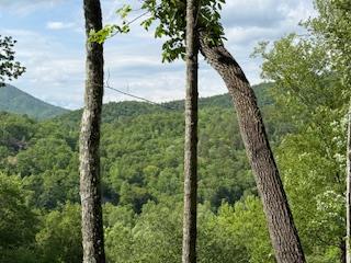 43 Tusquittee Crossing