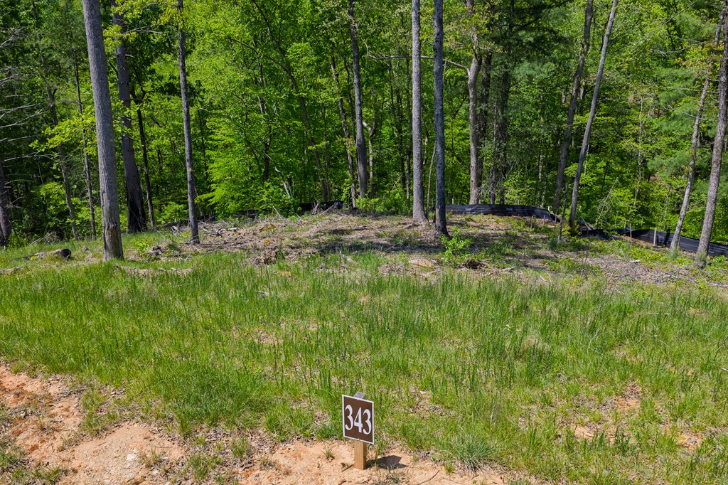 Lot 343 Shallow Branch Drive
