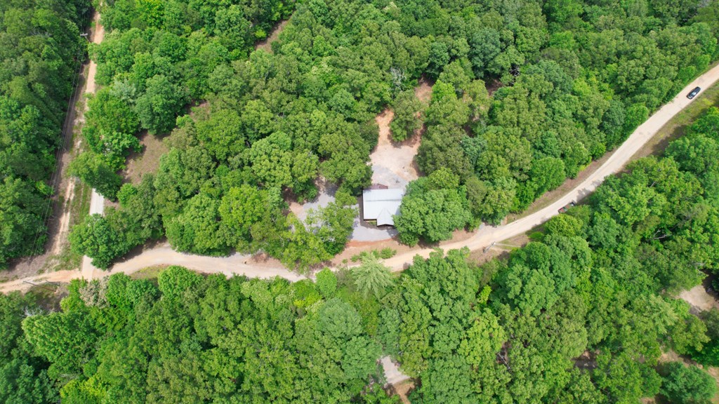 981 Kelly Ridge Drive
