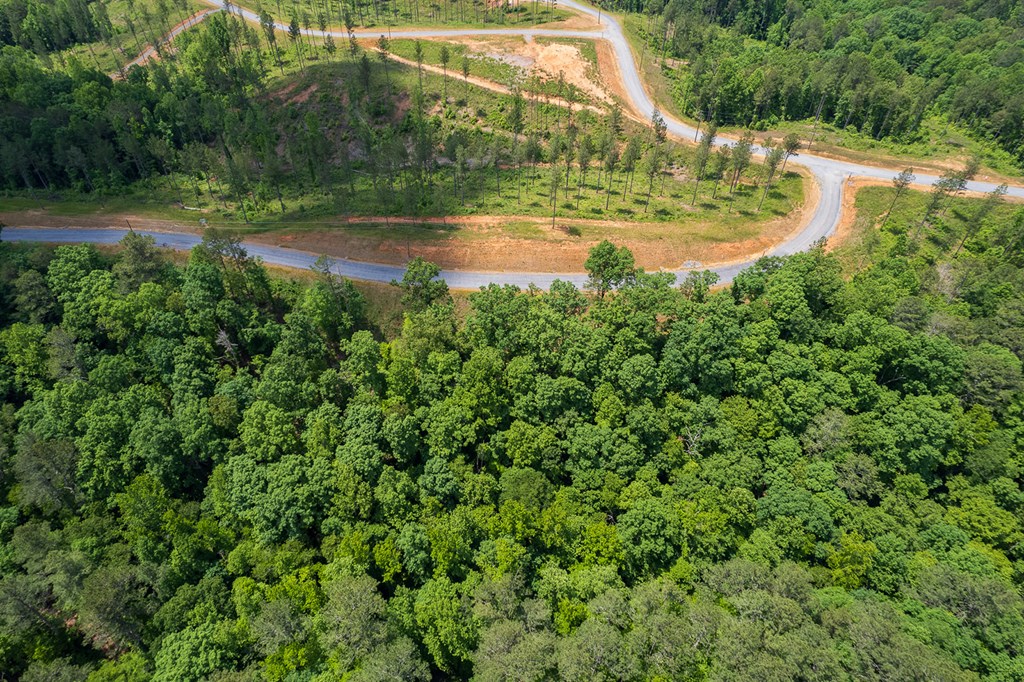 Lot 178 Vista Creek Drive