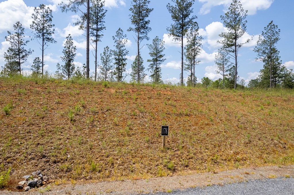 Lot 178 Vista Creek Drive