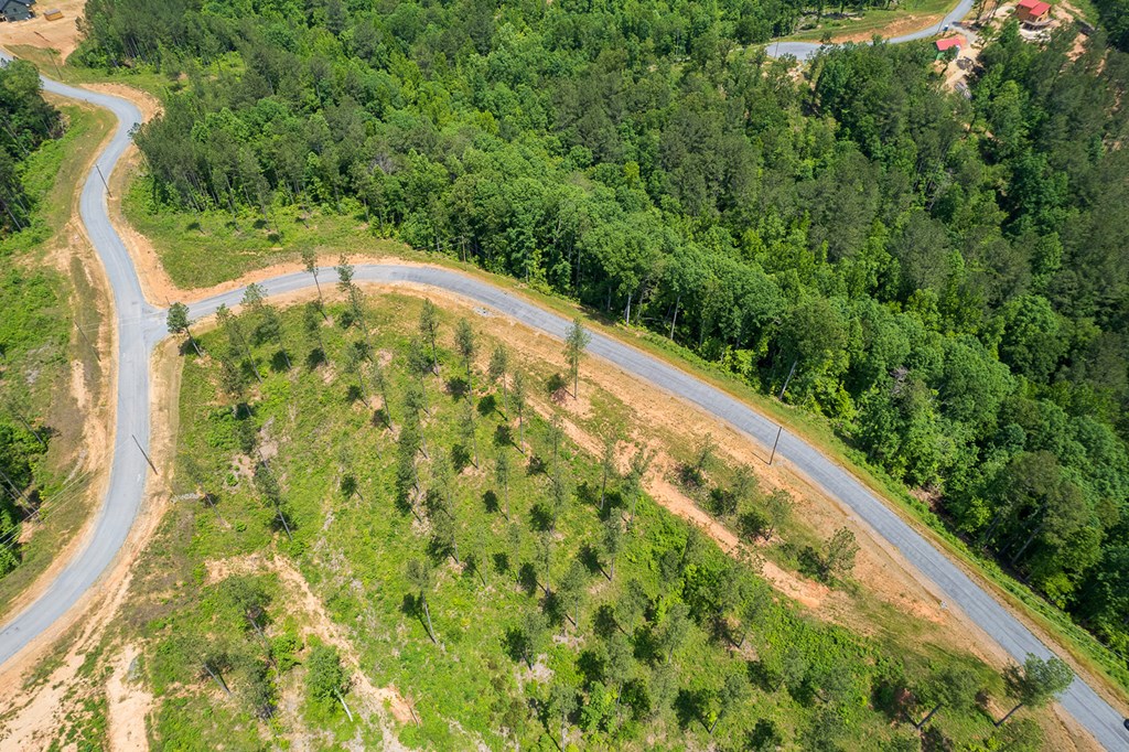 Lot 178 Vista Creek Drive