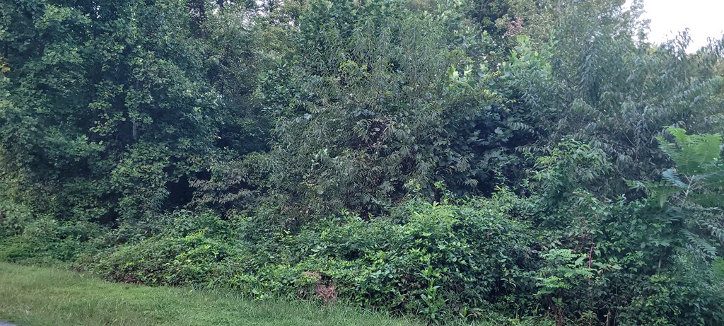 0 Chatuge Village Drive