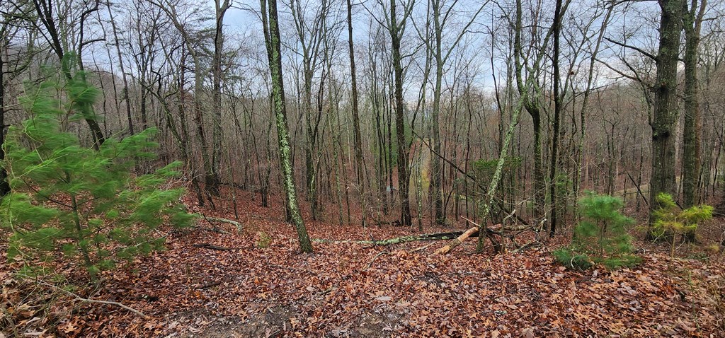 9 Wilderness Creek Way