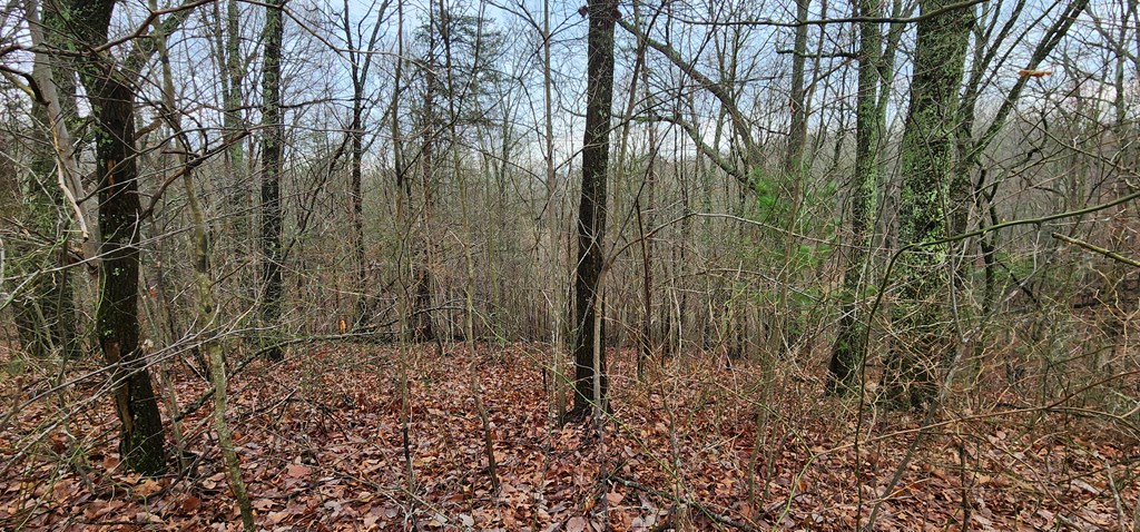 9 Wilderness Creek Way