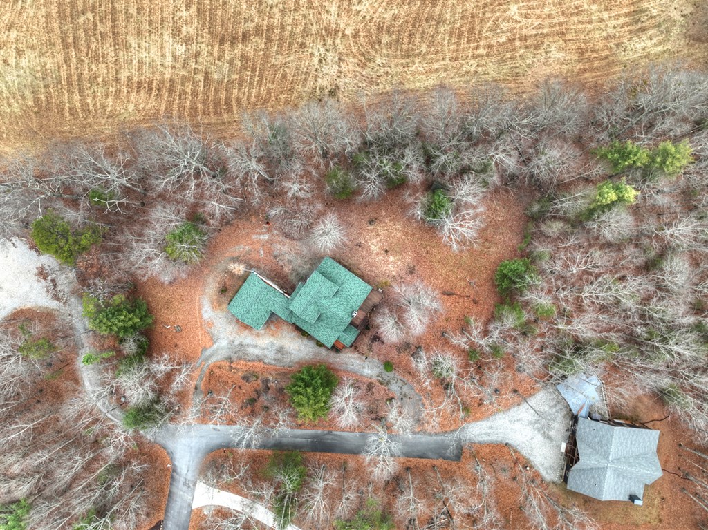 61 Spring Ridge Trail