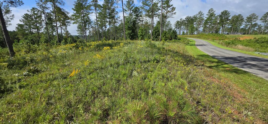 Lot 65 High River Landing