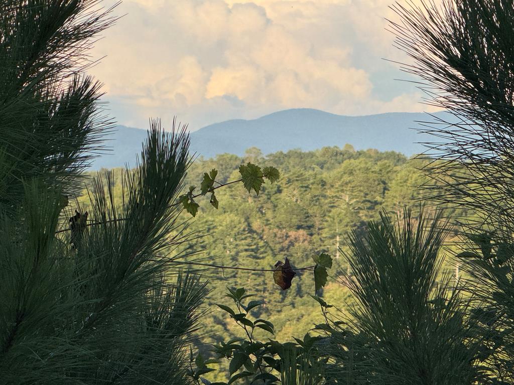 LT 115 Ridge Wood Trail