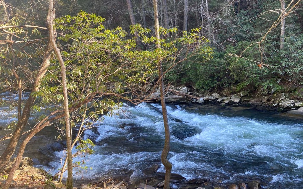 LT 115 Ridge Wood Trail