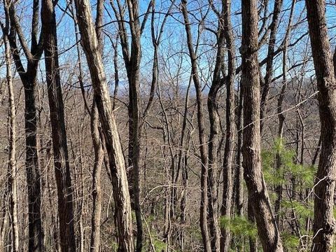 5.91 ac Sunrock Mtn Trace Blue Ridge GA 30513