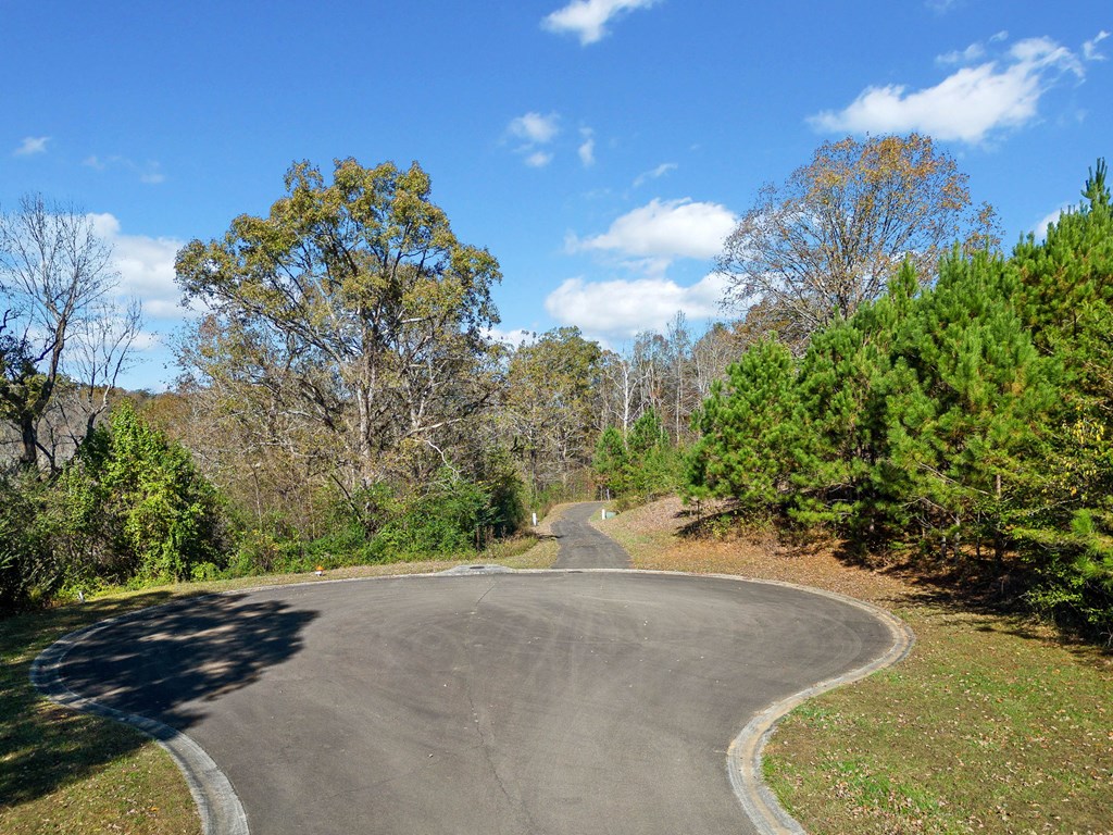Lot 113 Oak Valley Court