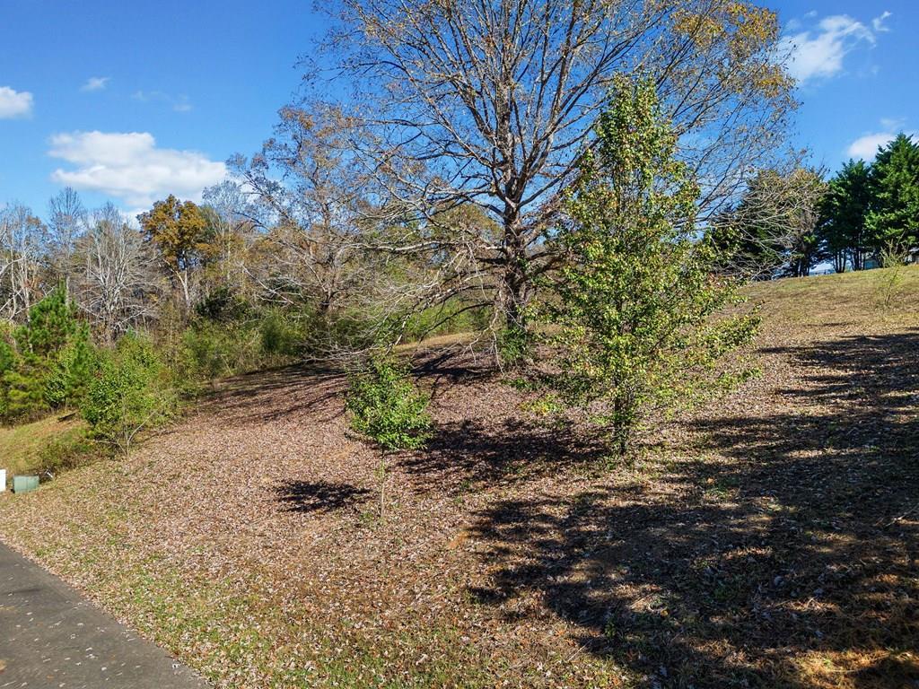 Lot 113 Oak Valley Court