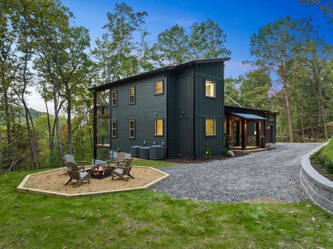 1160 Mangums Trail Blue Ridge GA 30513