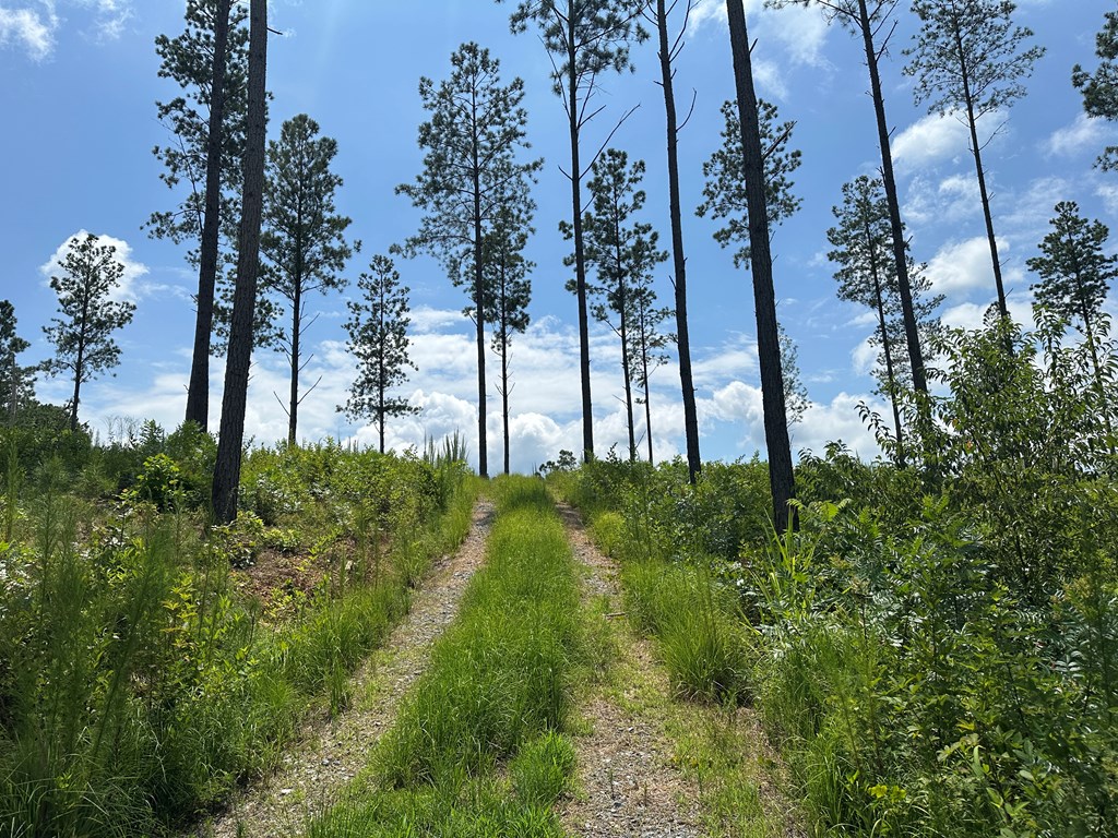 Lot 147 Creekside Crossing