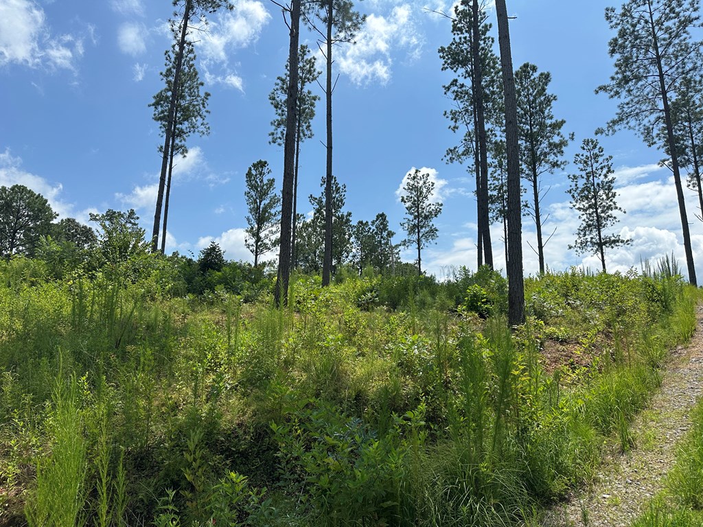 Lot 147 Creekside Crossing