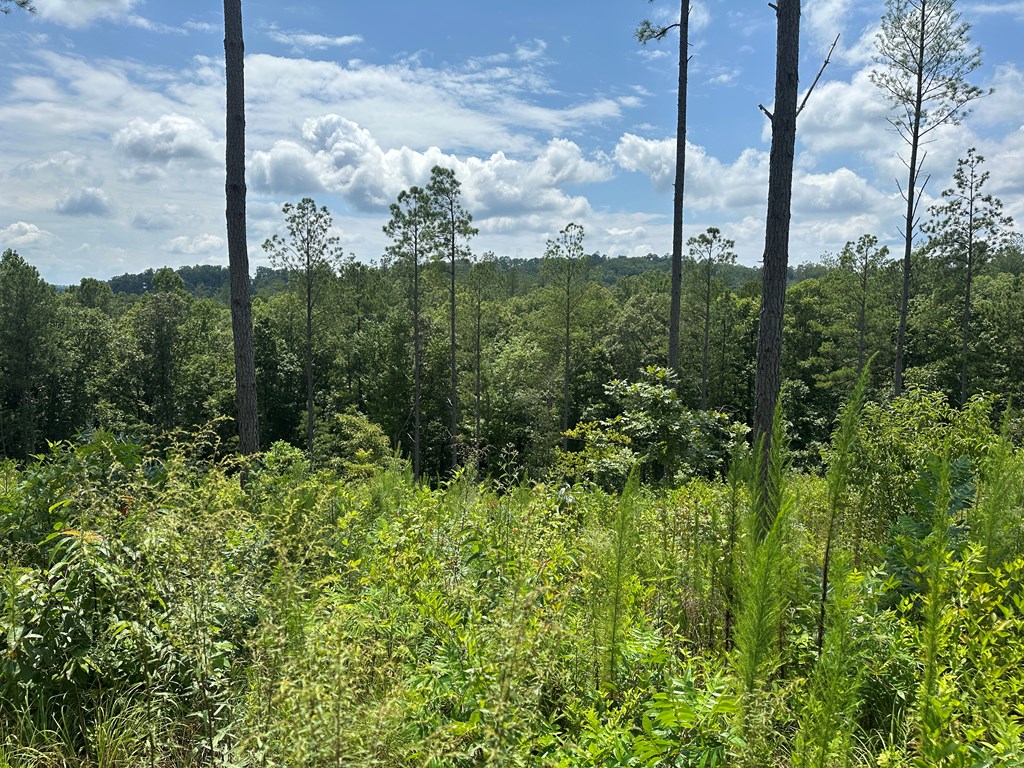 Lot 147 Creekside Crossing