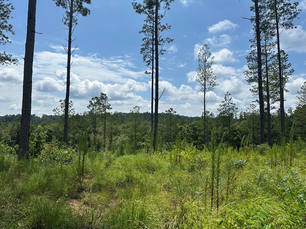 Lot 147 Creekside Crossing