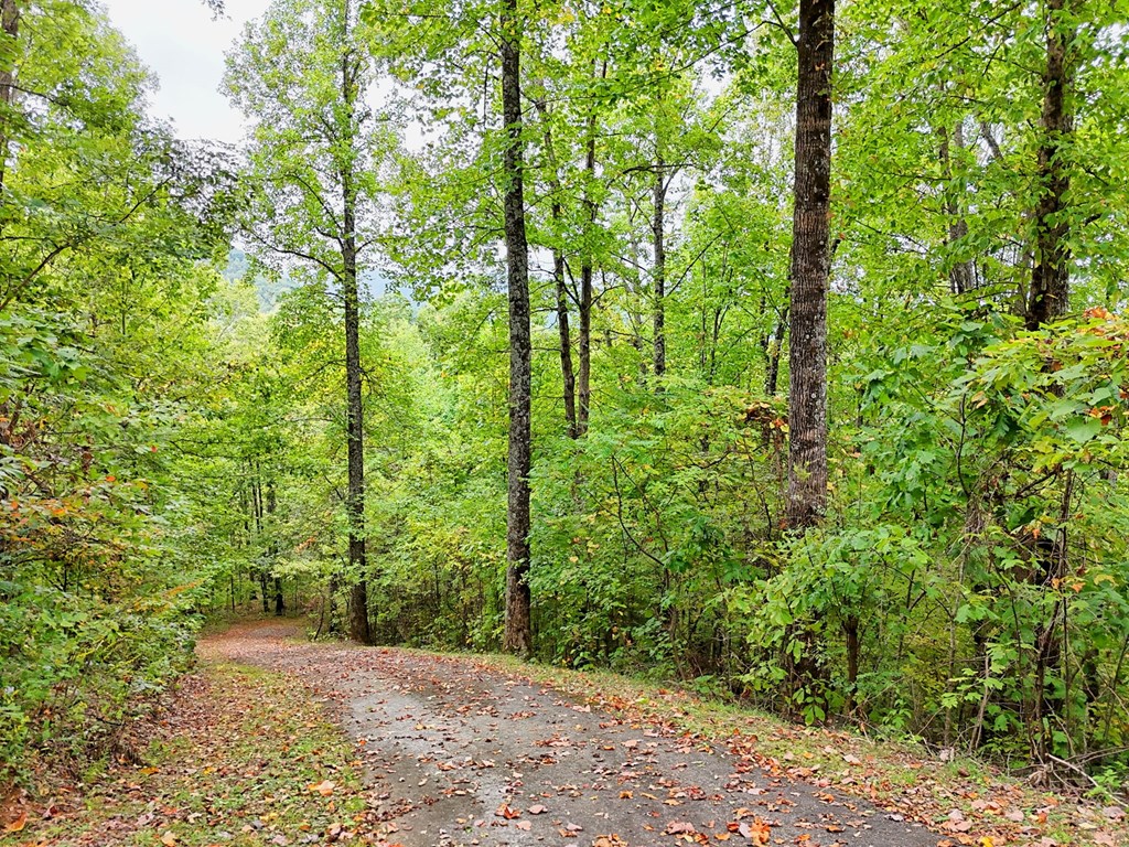 Lot 1 Skyview Drive