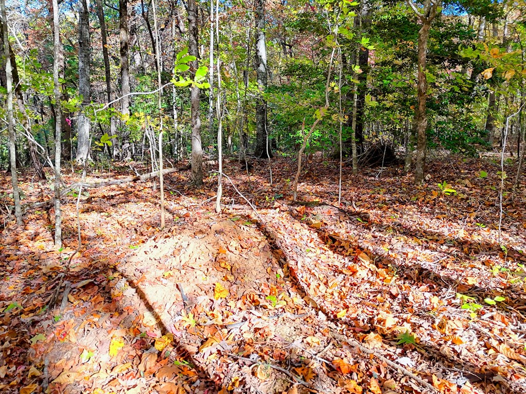 #20 Victoria Woods Circle