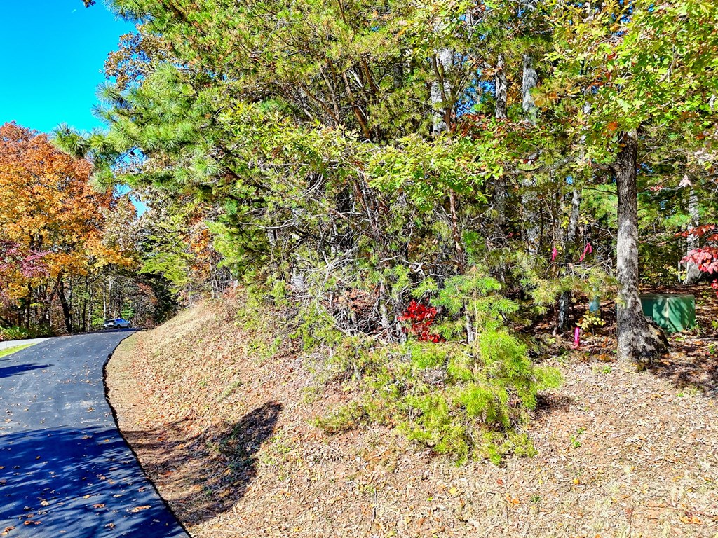 #20 Victoria Woods Circle