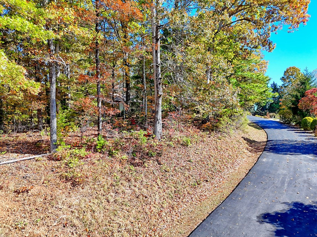 #20 Victoria Woods Circle