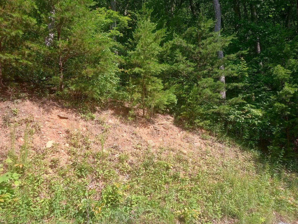 Lt 233 Stone Cliff Drive
