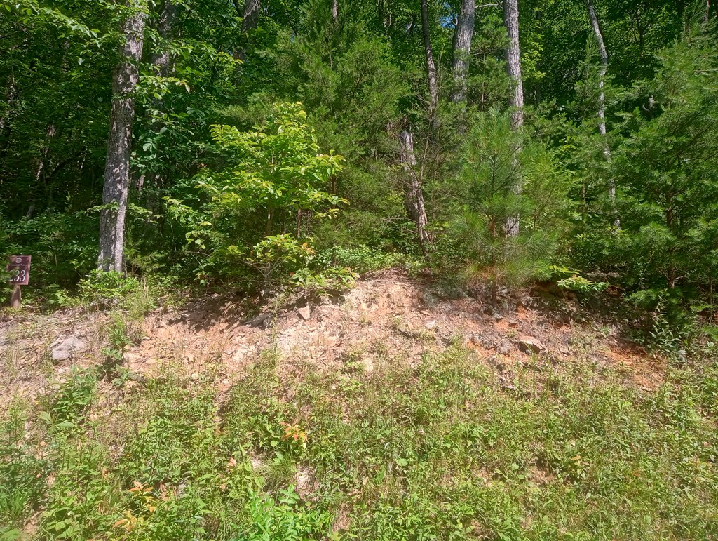 Lt 233 Stone Cliff Drive