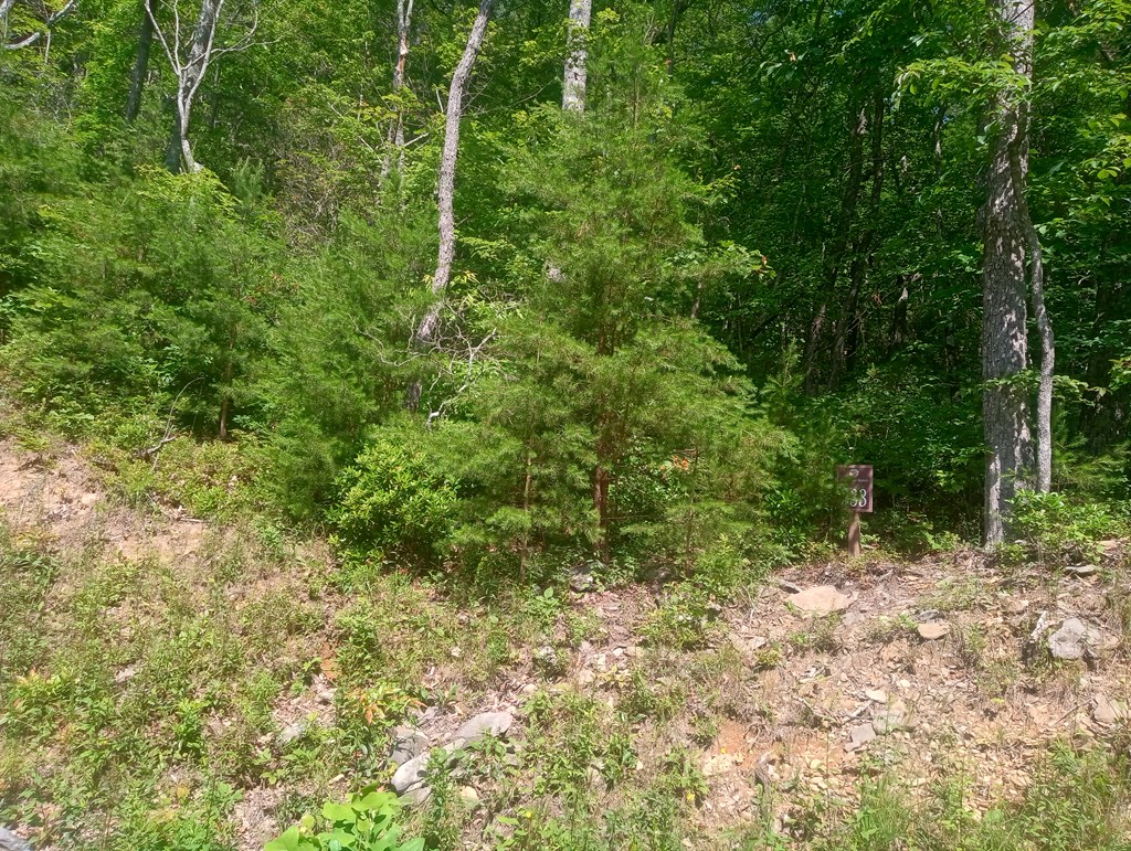 Lt 233 Stone Cliff Drive