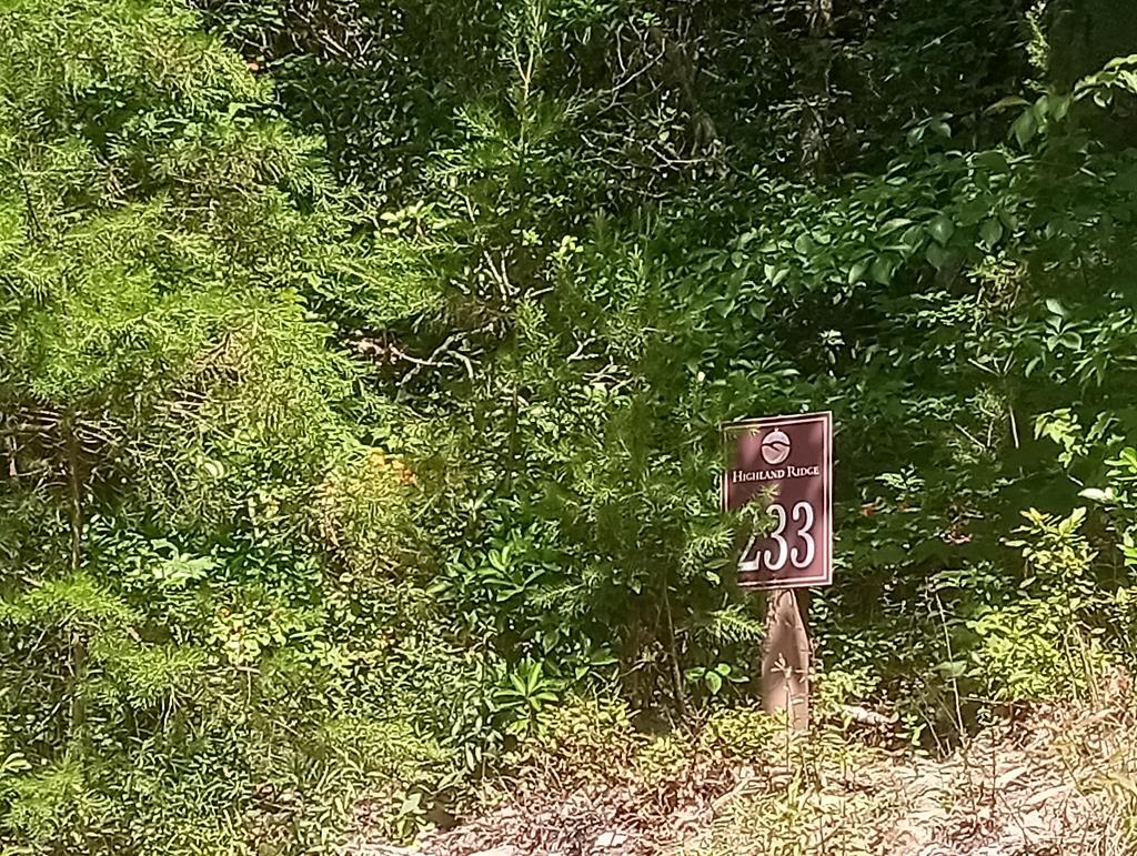 Lt 233 Stone Cliff Drive