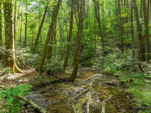 A home in Ellijay