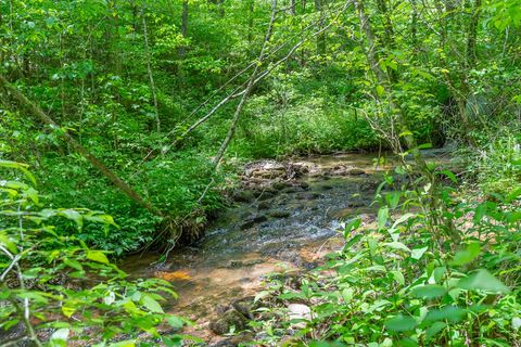 A home in Ellijay