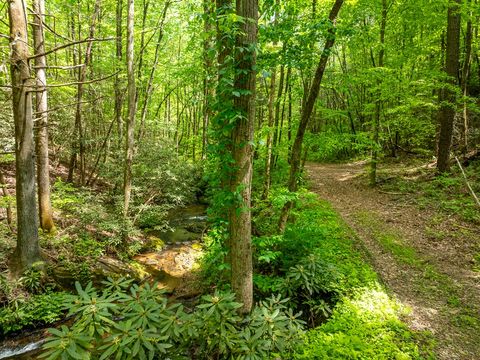 A home in Ellijay