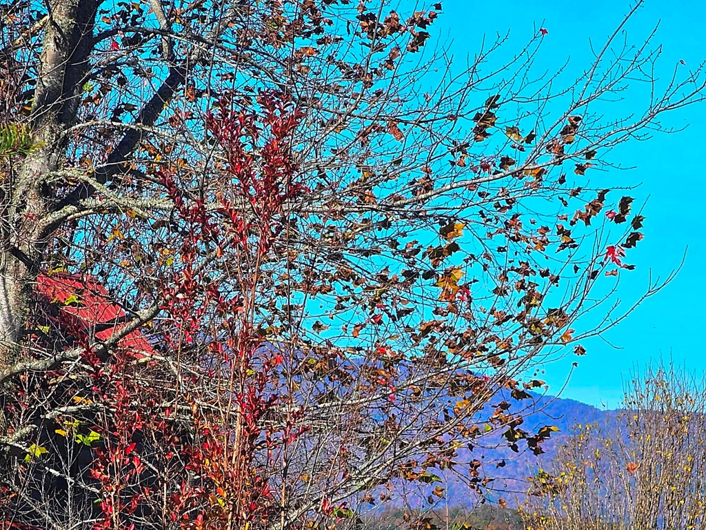 Lot 100 NE Pin Oak Ridge