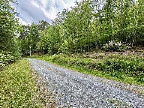 208 Bullen Gap Road Blue Ridge GA 30513
