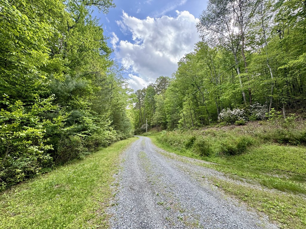 208 Bullen Gap Road